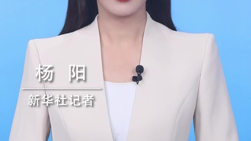 揭秘科技公司核心技术岗位：关键角色与职责**